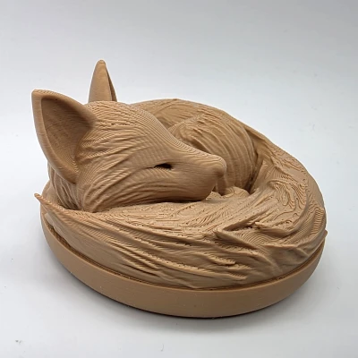 Cáo Ngủ 2 - Không Cần Supports