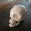 Đầu Lâu Cho Baga Xe / Skull for towbar - Thumbnail 1