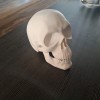 Đầu Lâu Cho Baga Xe / Skull for towbar - Thumbnail 2