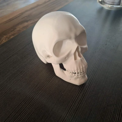 Đầu Lâu Cho Baga Xe / Skull for towbar