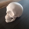 Đầu Lâu Cho Baga Xe / Skull for towbar - Thumbnail 3