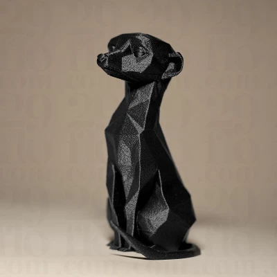 Mô Hình Lục Giác Tinh Nghịch MEERKAT