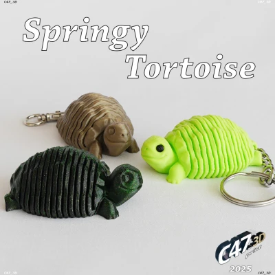 Rùa Đồng Cỏ Thân Mềm Dẻo