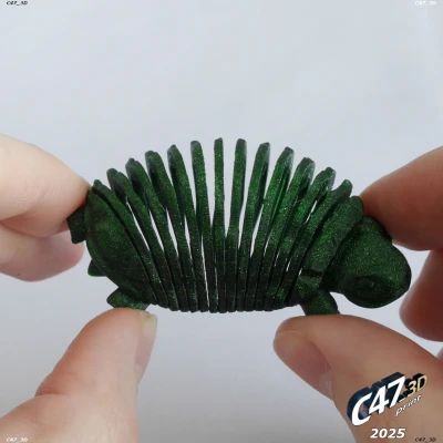 Rùa Đồng Cỏ Thân Mềm Dẻo