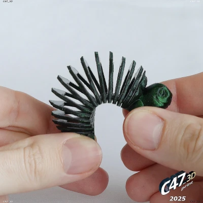 Rùa Đồng Cỏ Thân Mềm Dẻo