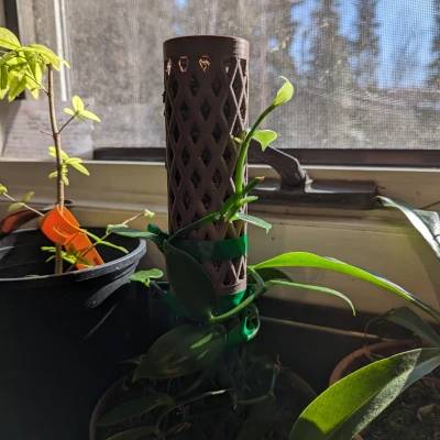 Chậu Cây Giữ Rêu