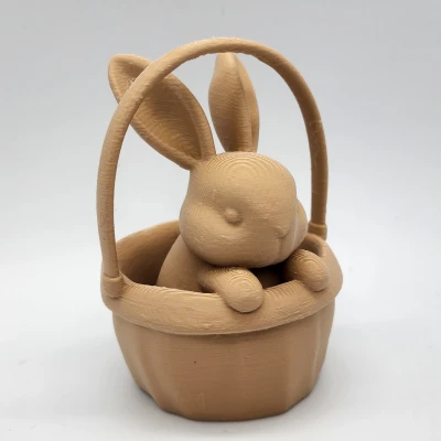 Thỏ trong Giỏ - Mẫu in 3D