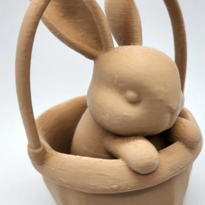 Thỏ trong Giỏ - Mẫu in 3D