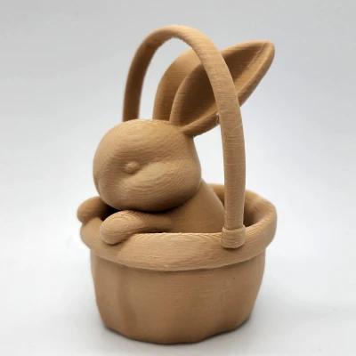 Thỏ trong Giỏ - Mẫu in 3D