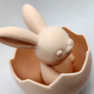 Thỏ trong Trứng - Không Cần Support