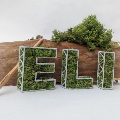 Chữ Rêu Tự Đứng Theo Tên