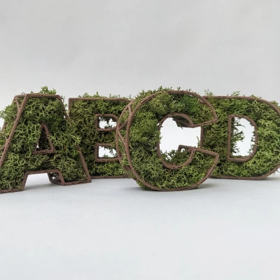 Chữ Rêu Tự Đứng Theo Tên