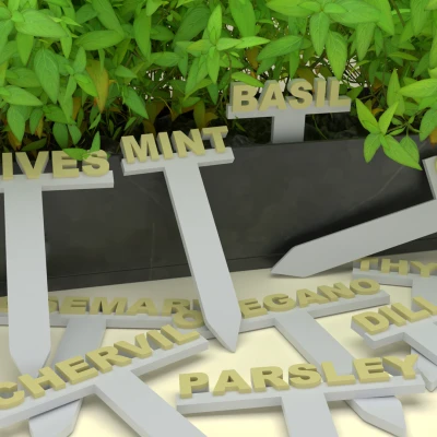 Nhãn Thảo Mộc - Font Chữ Tiêu Chuẩn