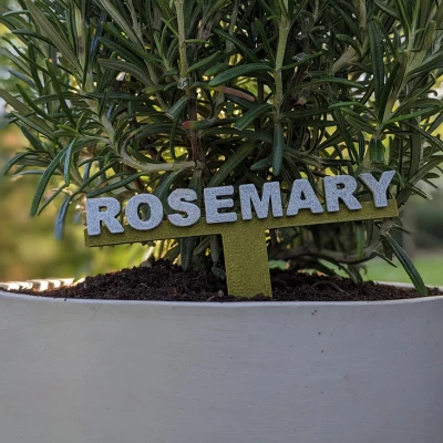 Nhãn Thảo Mộc - Font Chữ Tiêu Chuẩn