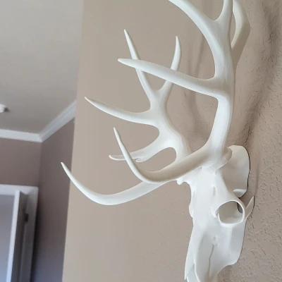 Trang Trí Tường Hình Đầu Lâu Hươu
