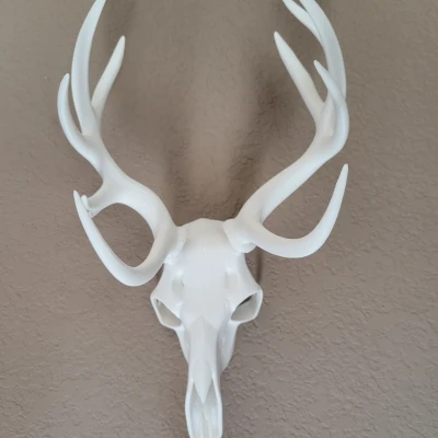 Trang Trí Tường Hình Đầu Lâu Hươu