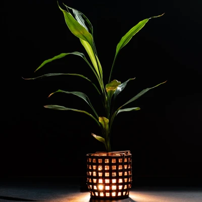 Giỏ đựng ly thủy tinh có đế đỡ cây