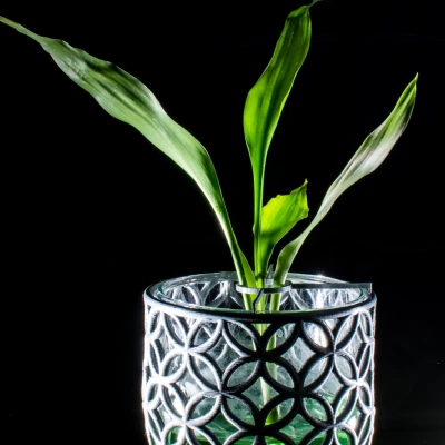 Giỏ đựng ly thủy tinh có đế đỡ cây