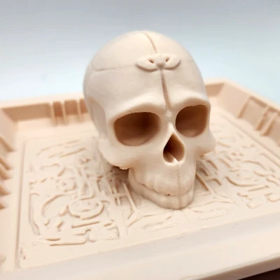 Khay Đựng Đồ Hình Đầu Lâu - Không Cần Hỗ Trợ Tùy Chọn