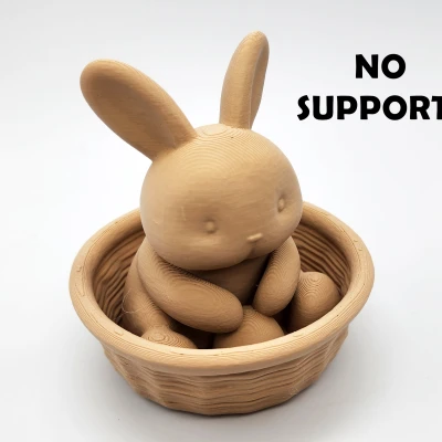 Thỏ trong giỏ - Không cần Support