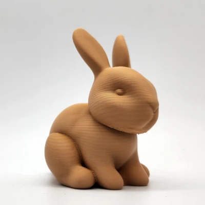 Thỏ Con Mềm Mại