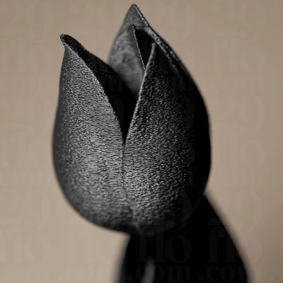 Mô Hình Hoa Tulip Trang Trí