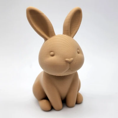 Thỏ Mũi Trái Tim