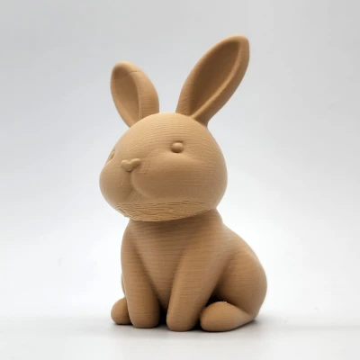 Thỏ Mũi Trái Tim