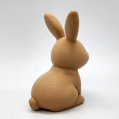 Thỏ Mũi Trái Tim