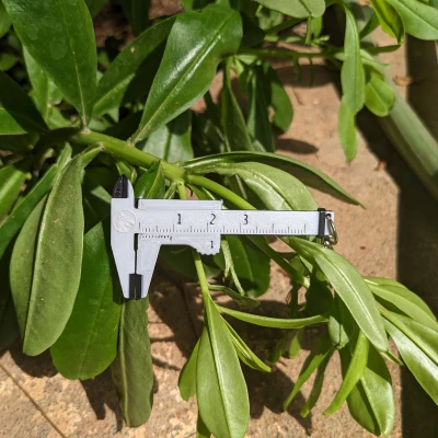 Móc Khóa Thước Cặp Mini