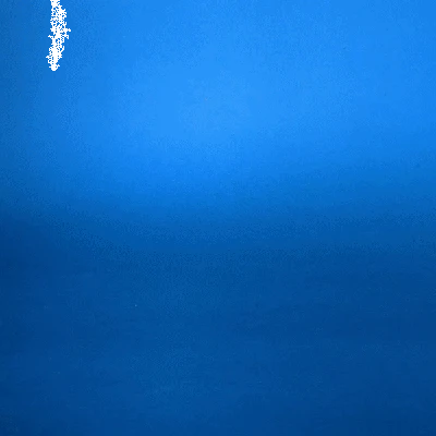 Khay Nén Cà Phê Espresso