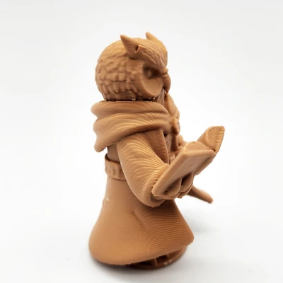 Thầy Tu - Cú & Rồng (The Cleric - Owls & Dragons)