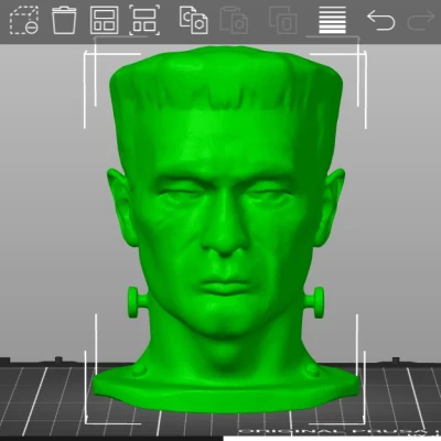 Tượng đầu Frankenstein