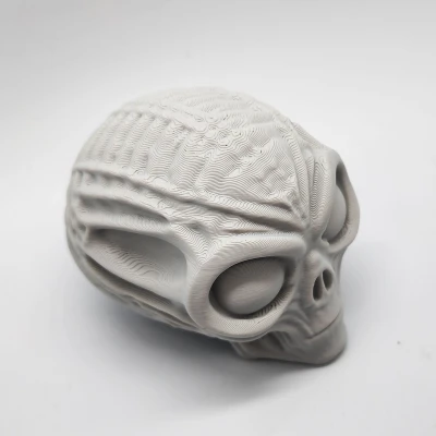 Đầu Lâu Người Ngoài Hành Tinh Ướp Xác