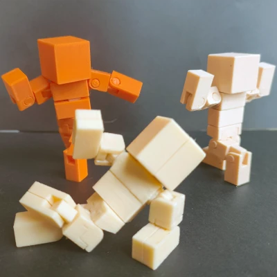 Mô hình VoxelMan V2