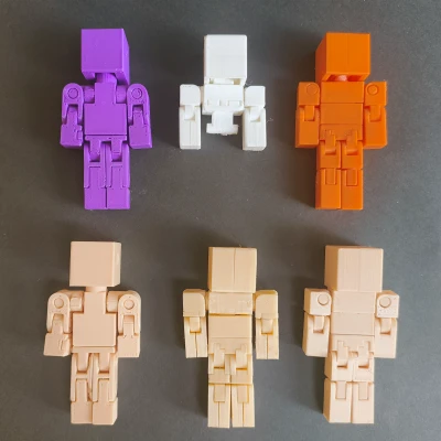 Mô hình VoxelMan V2