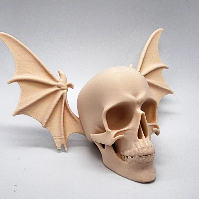 Đầu Lâu Cánh Dơi