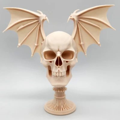 Đầu Lâu Rồng Có Cánh Trên Bệ