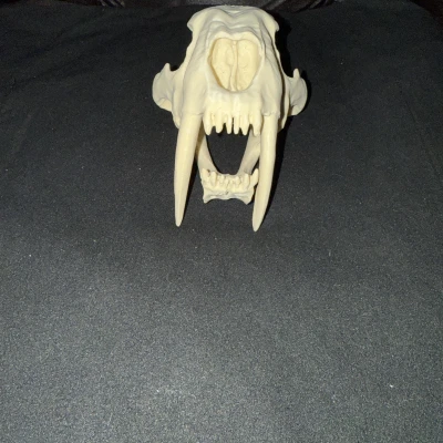 Đầu Lâu Hổ Răng Kiếm