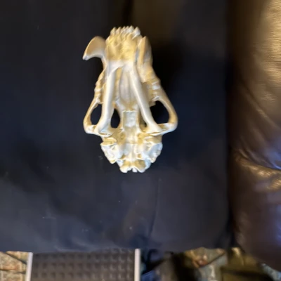 Đầu Lâu Hổ Răng Kiếm