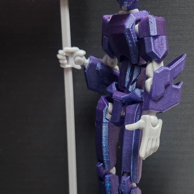 Giáp Cú Giả Dummy 13