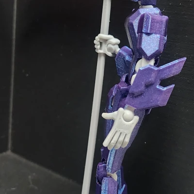 Giáp Cú Giả Dummy 13