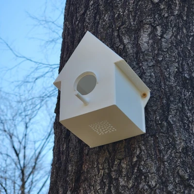 Mẫu Chuồng Chim Đơn Giản. In Một Mảnh.