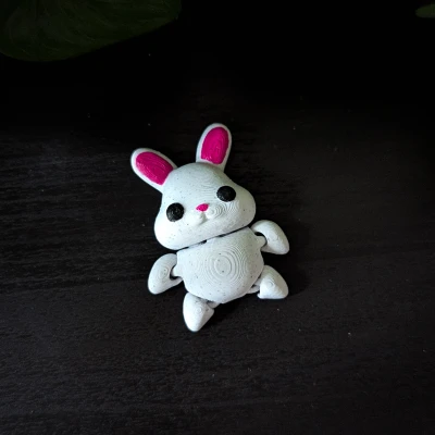 Thỏ Flexi Dễ Thương 🐰