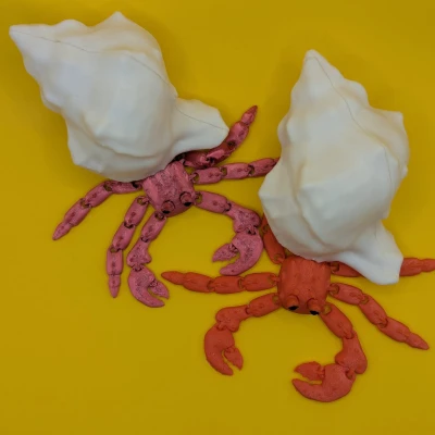 Cua Ẩn Sĩ Khớp Nối