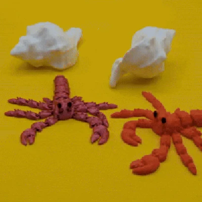 Cua Ẩn Sĩ Khớp Nối