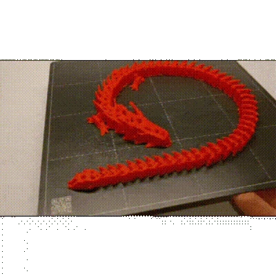 Rồng Bộ Xương In Liền