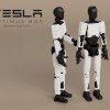 Tesla Optimus Bot 1.0 dựa trên Dummy 13 - Thumbnail 1