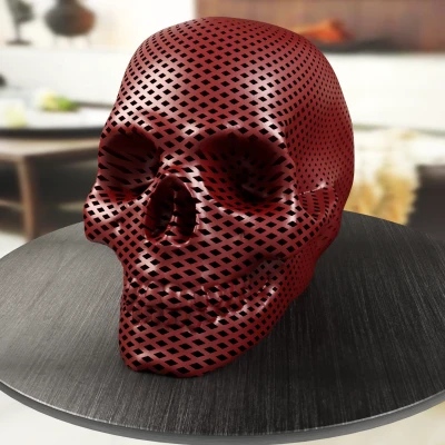 Đầu Lâu Xoắn Ốc - Đồ Trang Trí