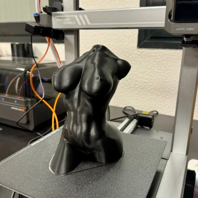 Tượng hình thể phụ nữ cong quyến rũ (chế độ lọ hoa)